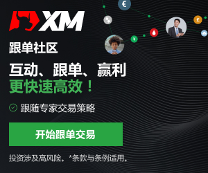 【XM外汇决策分析】:小心!!!有风险!